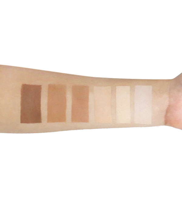Contour & Highlight Palette