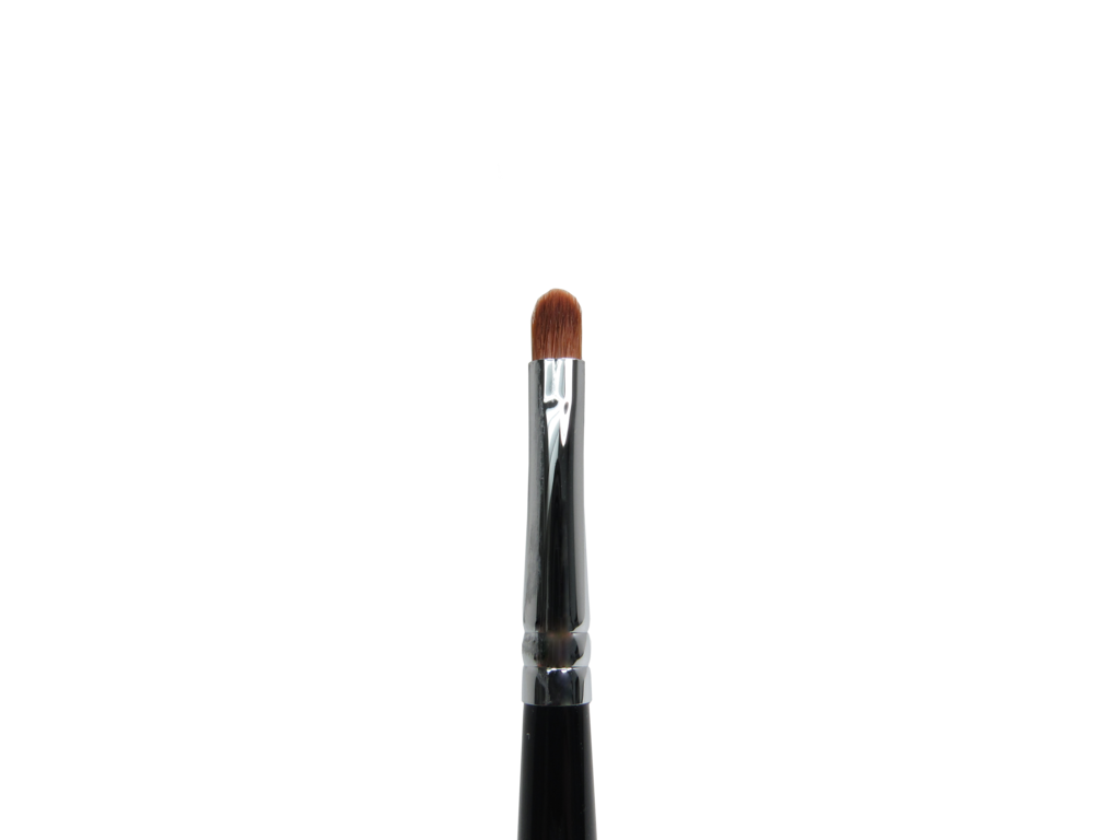 Lip Brush
